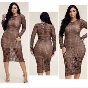 Mesh Dress